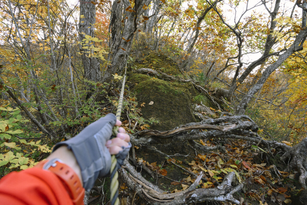 縄場が続く登山道