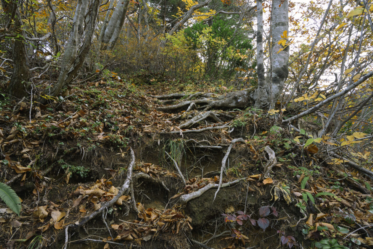 瀧山は急登の山