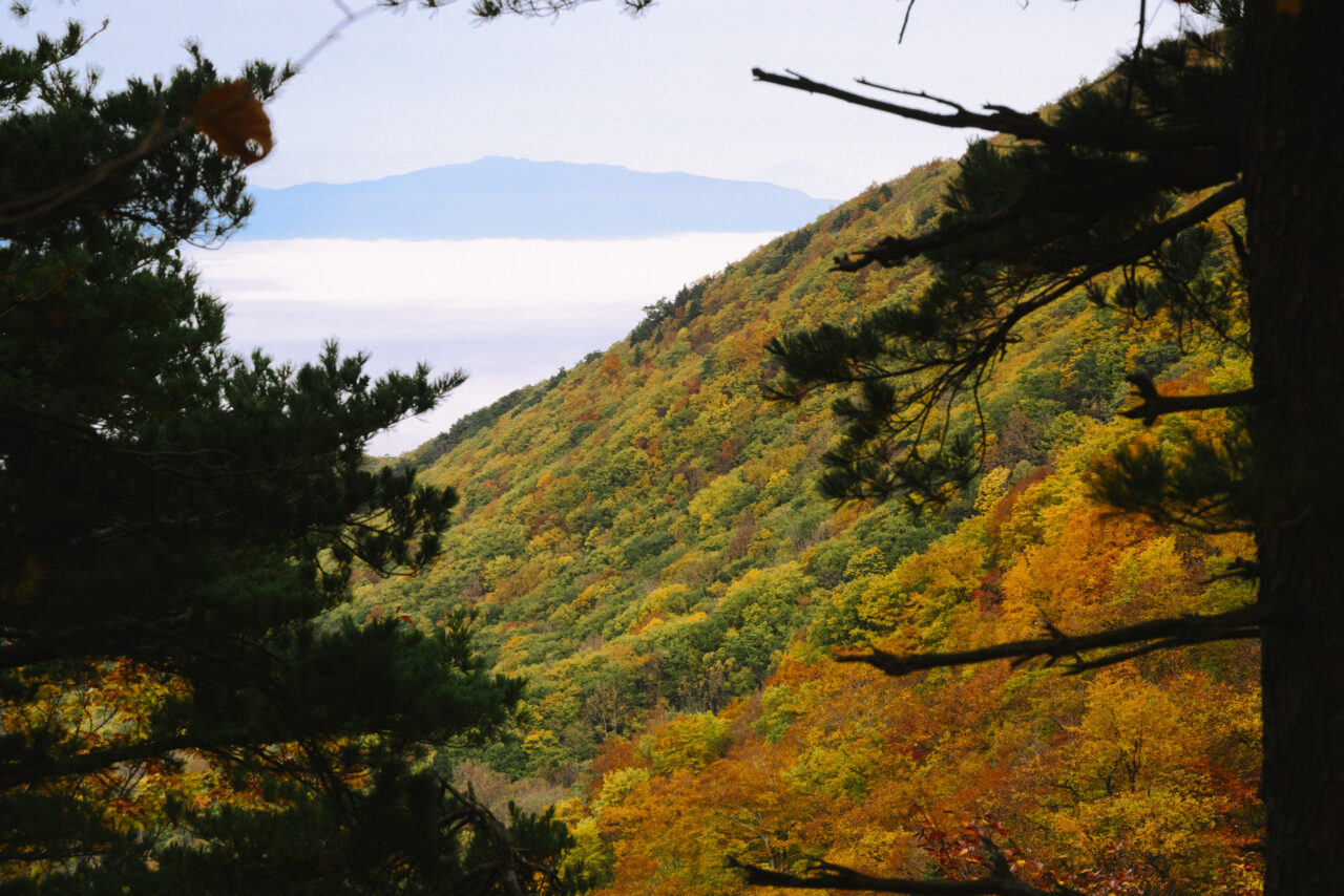 瀧山の紅葉と葉山の眺め