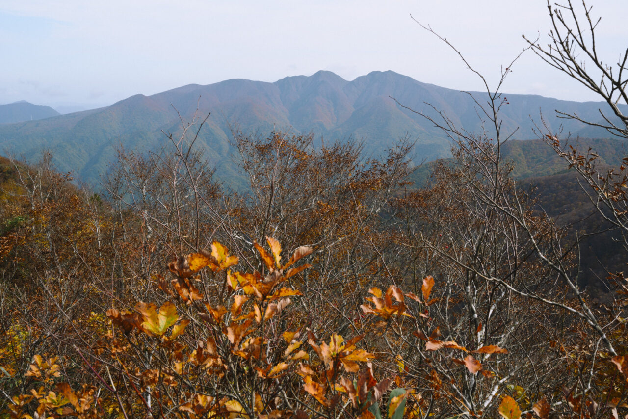 雁戸山の眺め