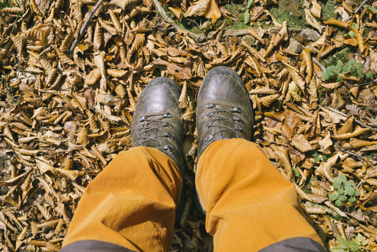 枯葉に埋もれた山道