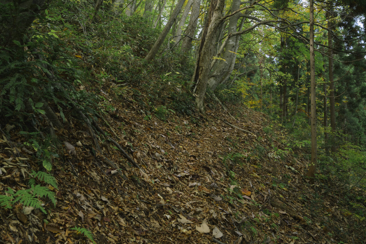 長峰コースは自然に帰りつつある