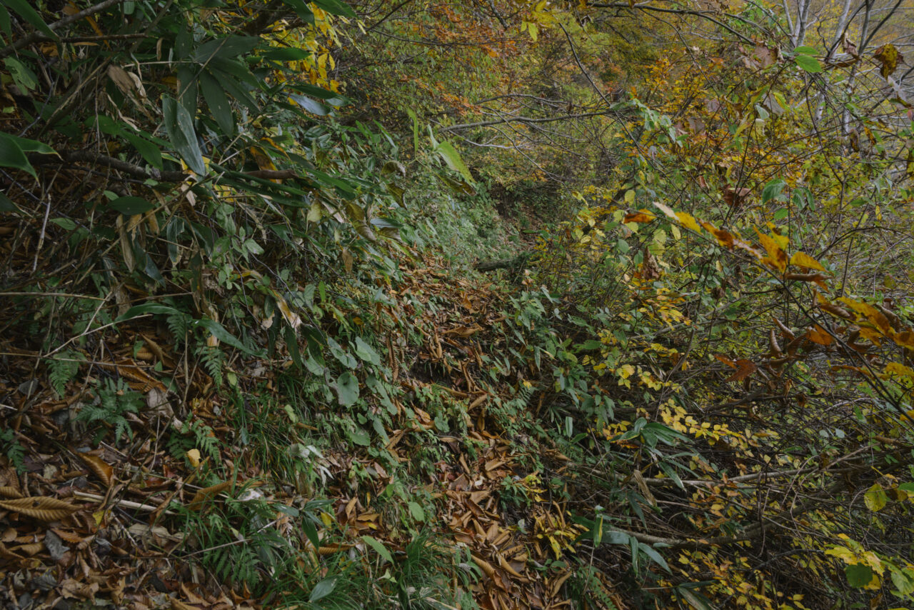 消えかけた登り坂