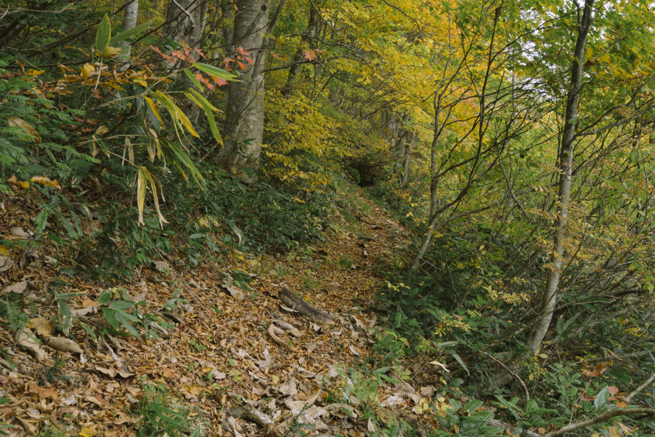 傾いた斜面を進む