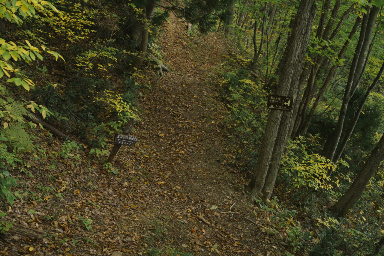 前滝コース分岐へ戻る