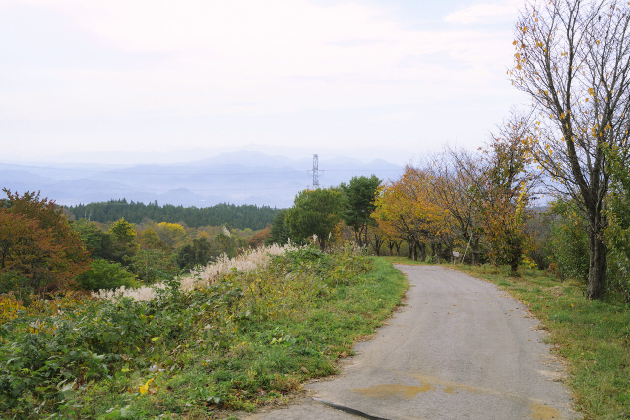 上山を見下ろす林道