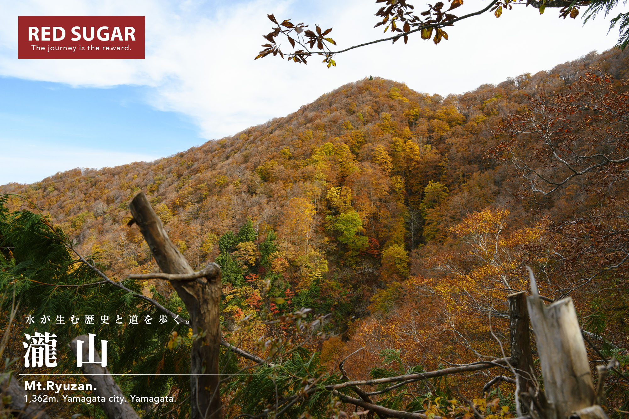 紅葉した瀧山を見上げる