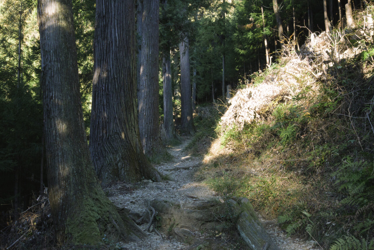 今熊山登山道へ