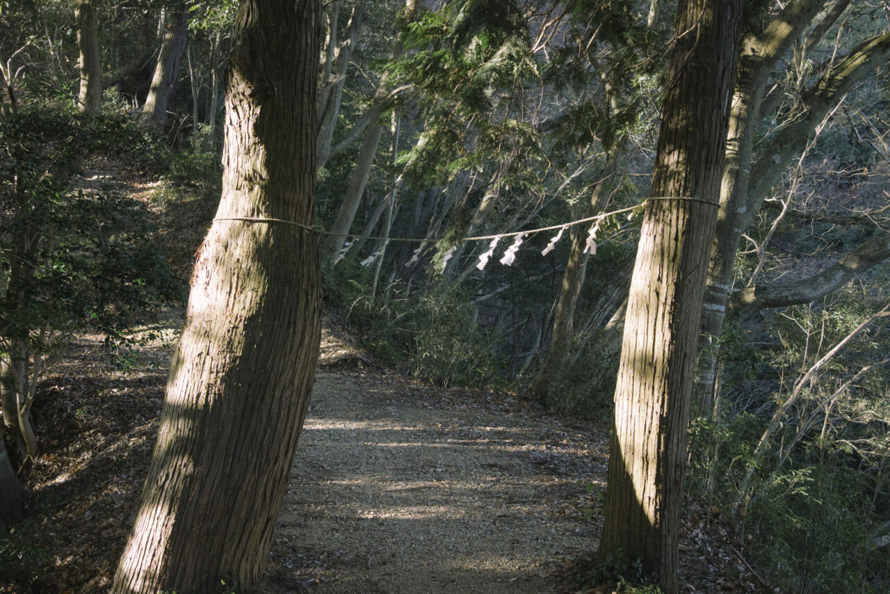 神社の境界を示す紙垂