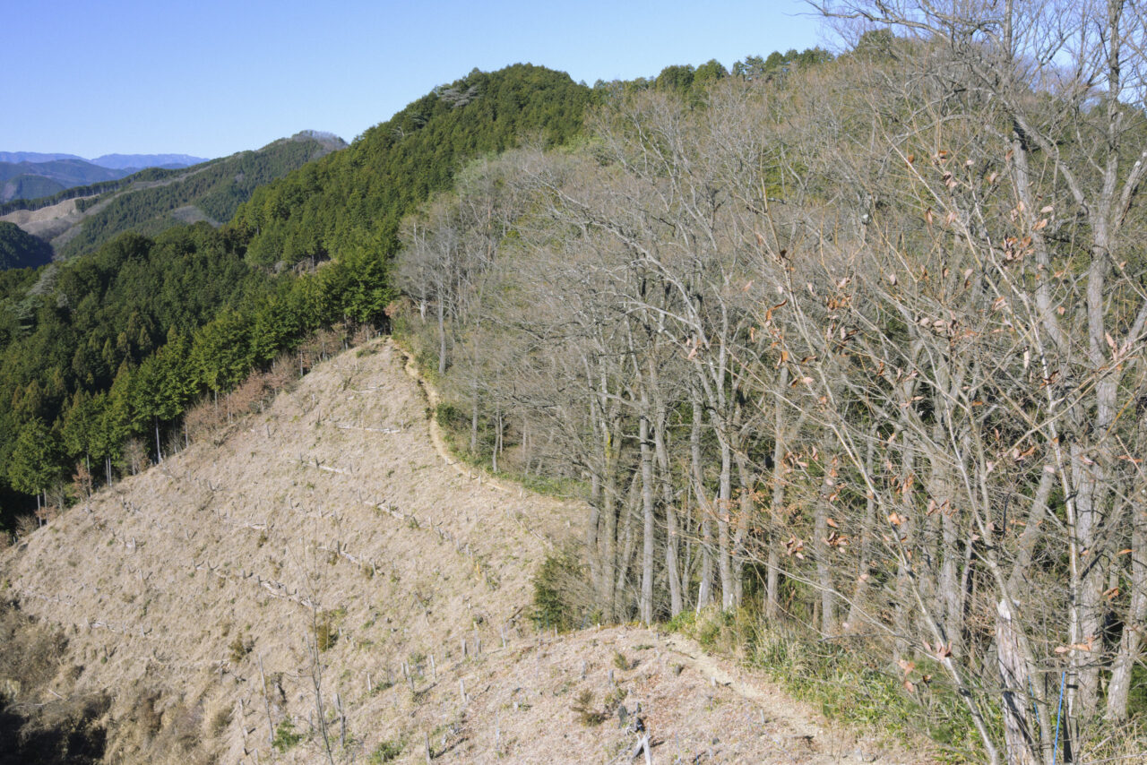 刈寄山へと続く登山道を見下ろす