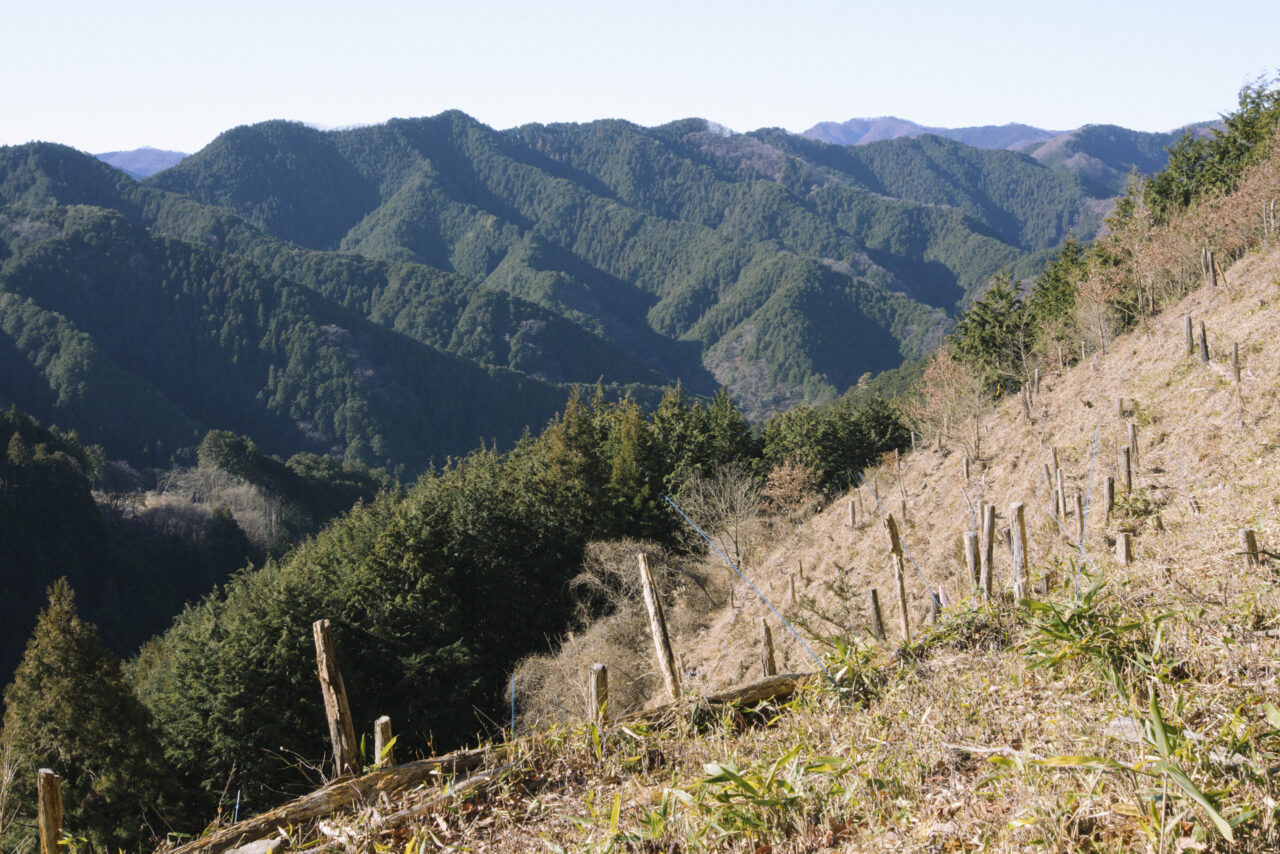 市道山へ続く稜線を眺める