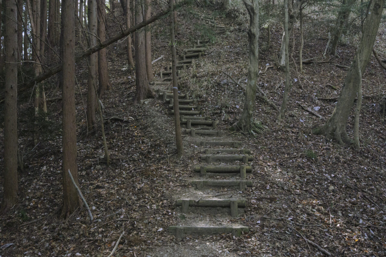 木造りの階段を駆ける