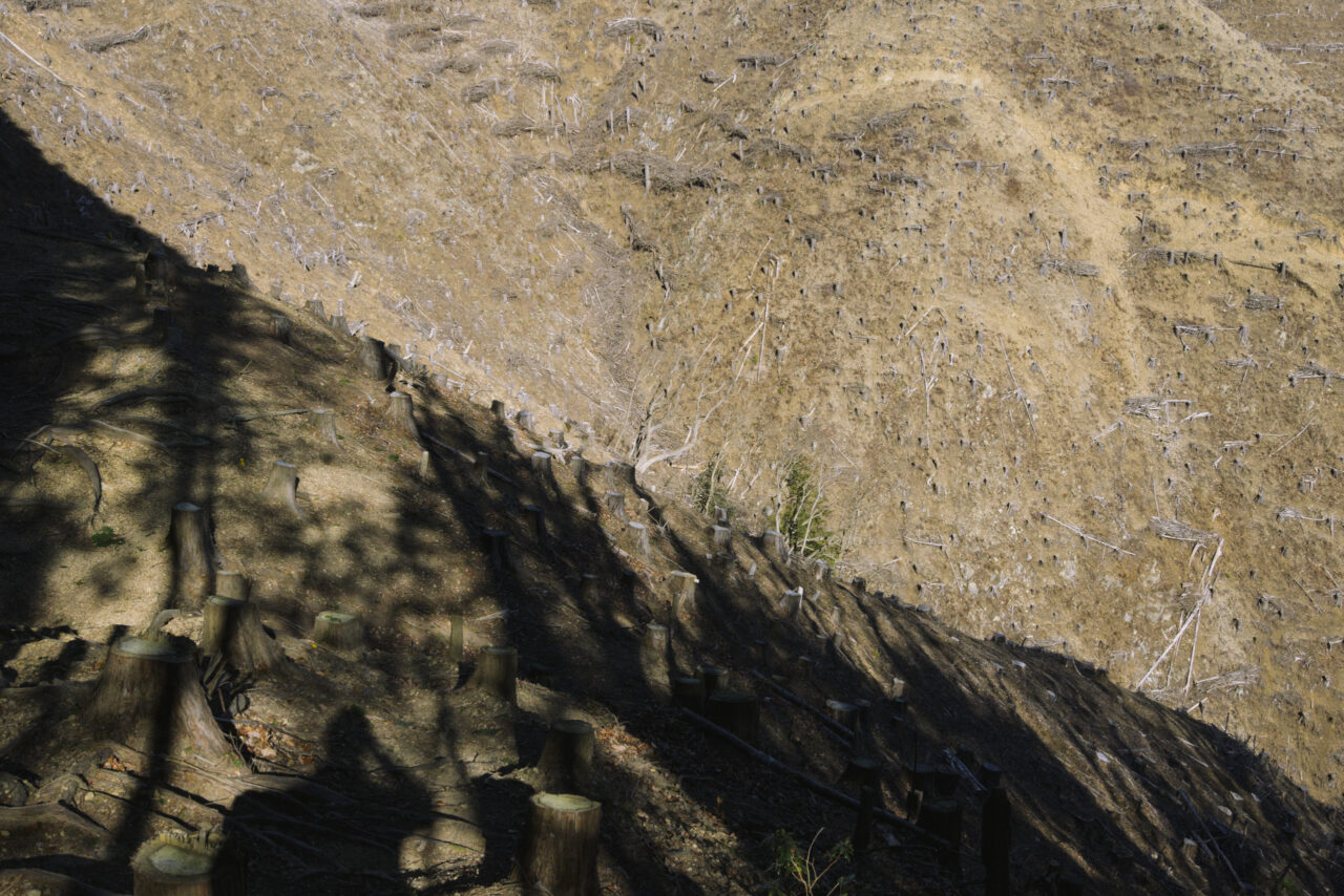 はげ山となった広大な山肌