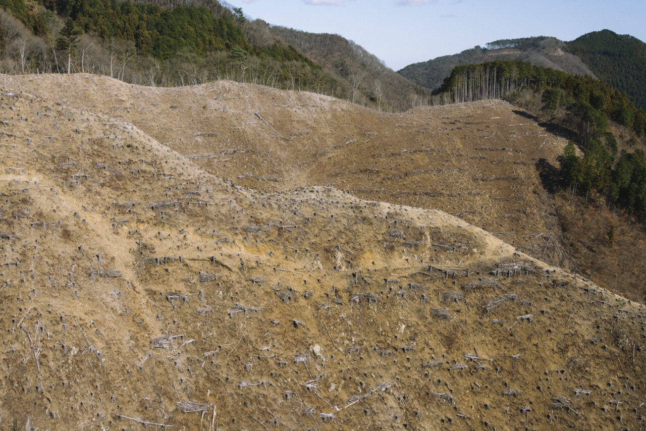 はげ山となっている市道山一帯