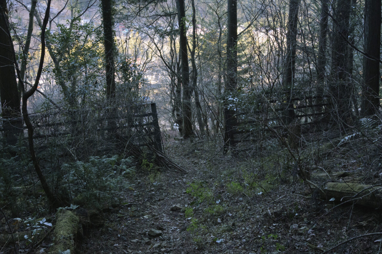 秋川渓谷側登山口