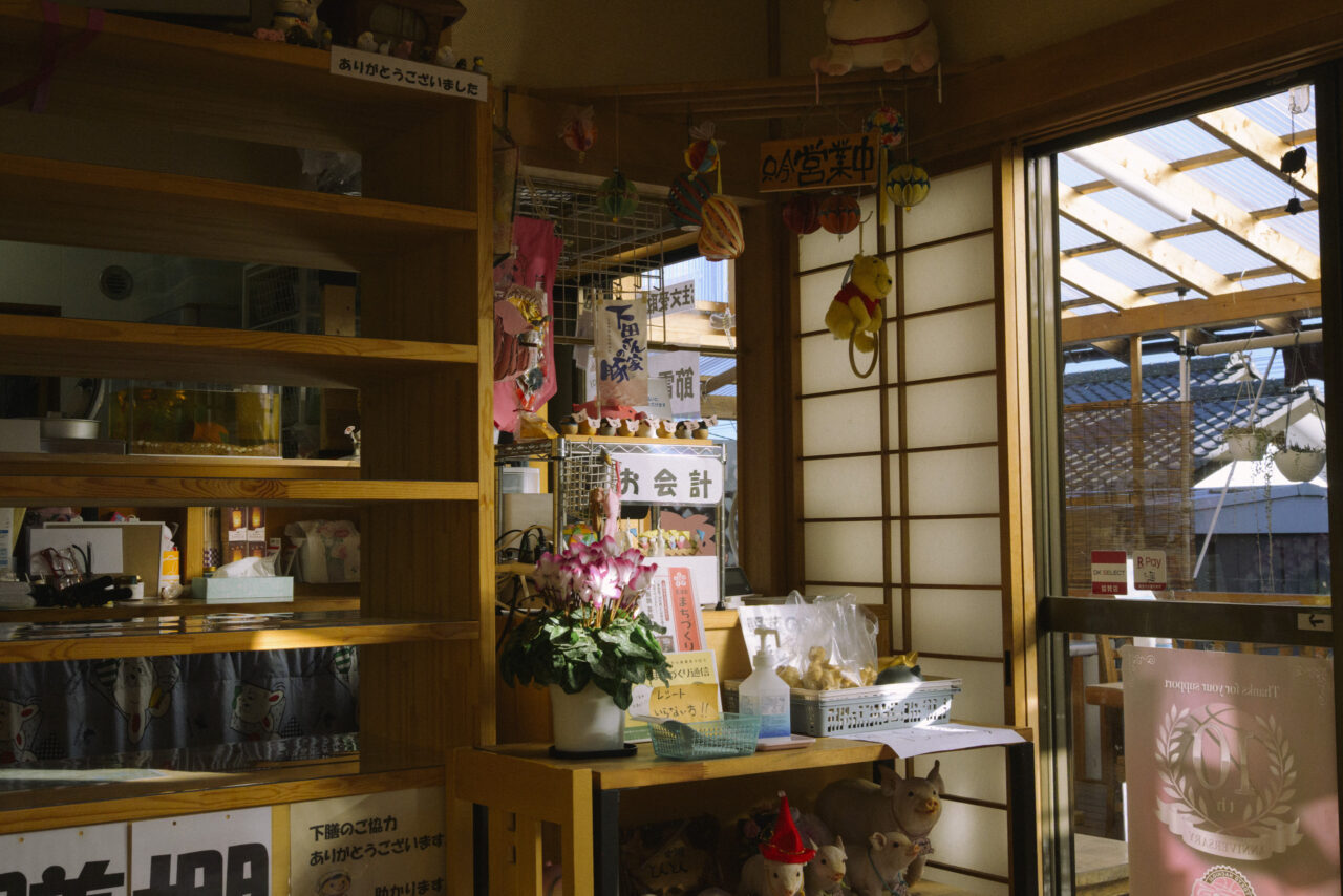 定食屋とんとんの店内