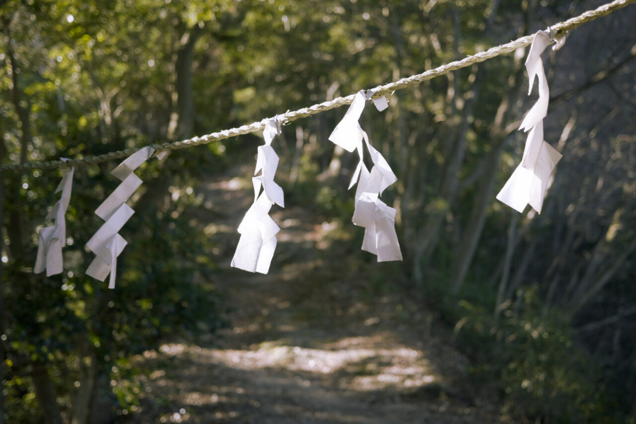 縄にぶら下がる紙垂