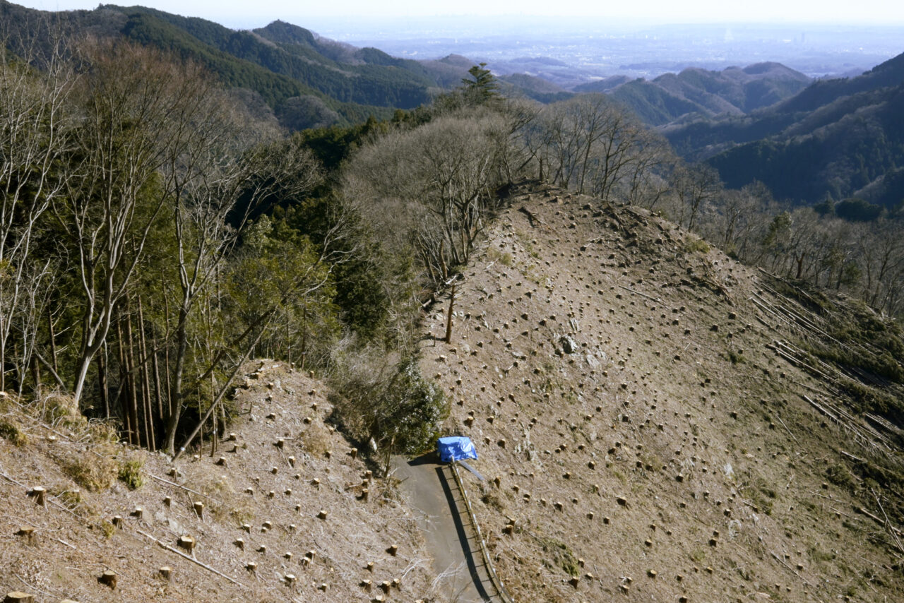 刈寄山の伐採地
