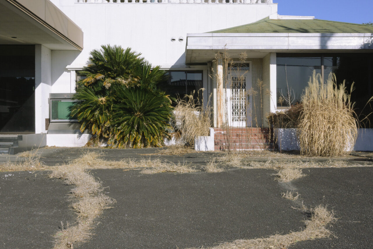 草が生い茂る廃墟前