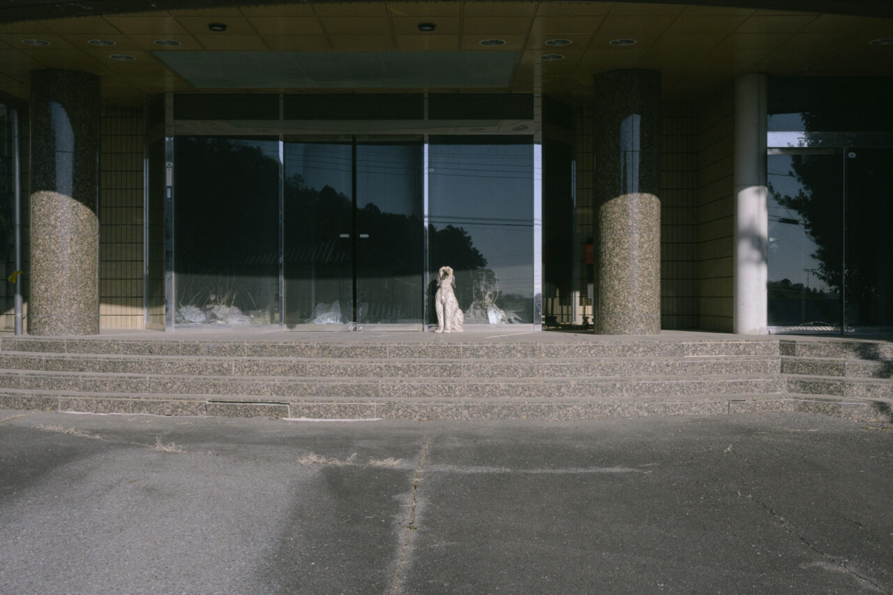 犬の置物がこちらを見る廃墟前