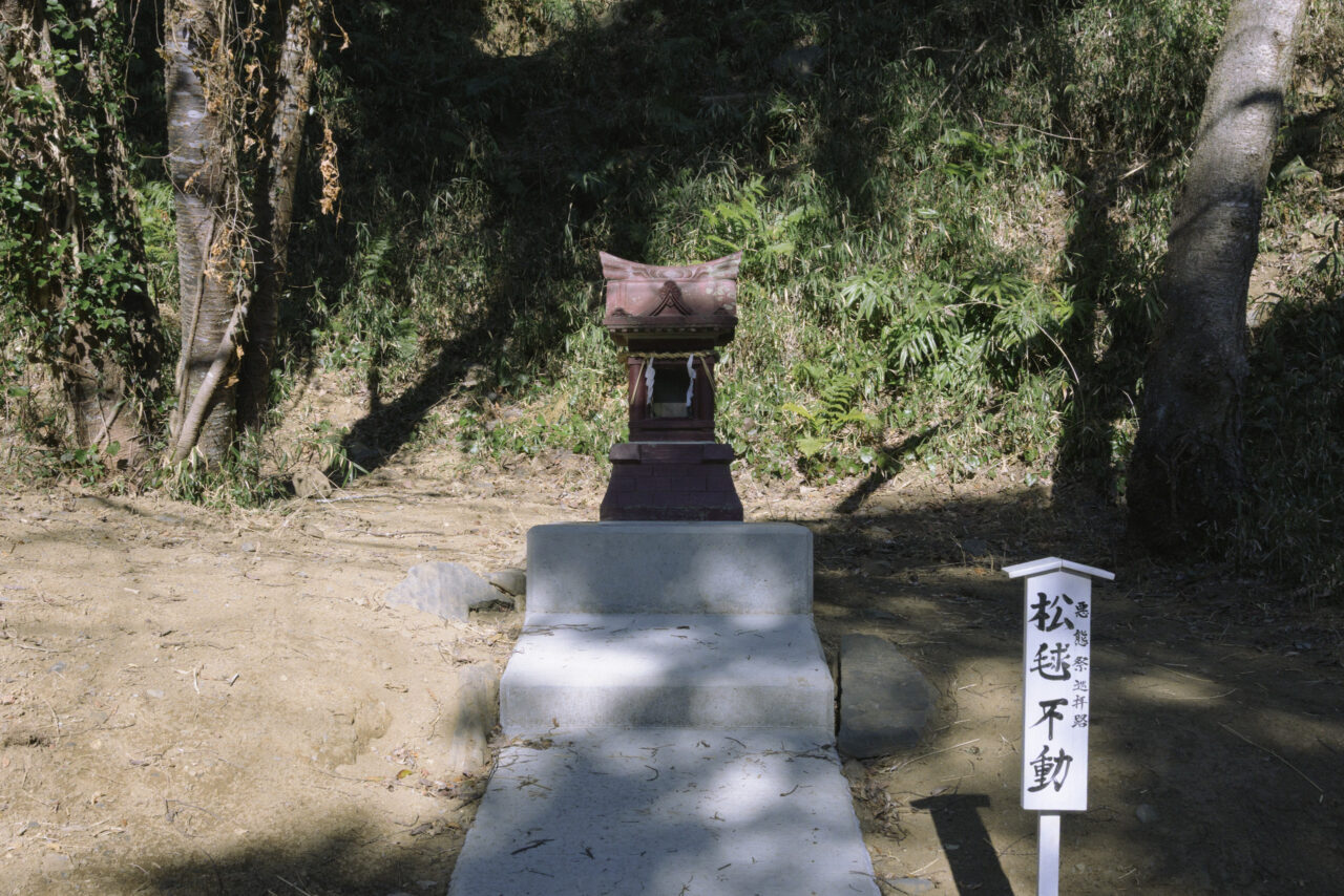 松ぼっくり不動