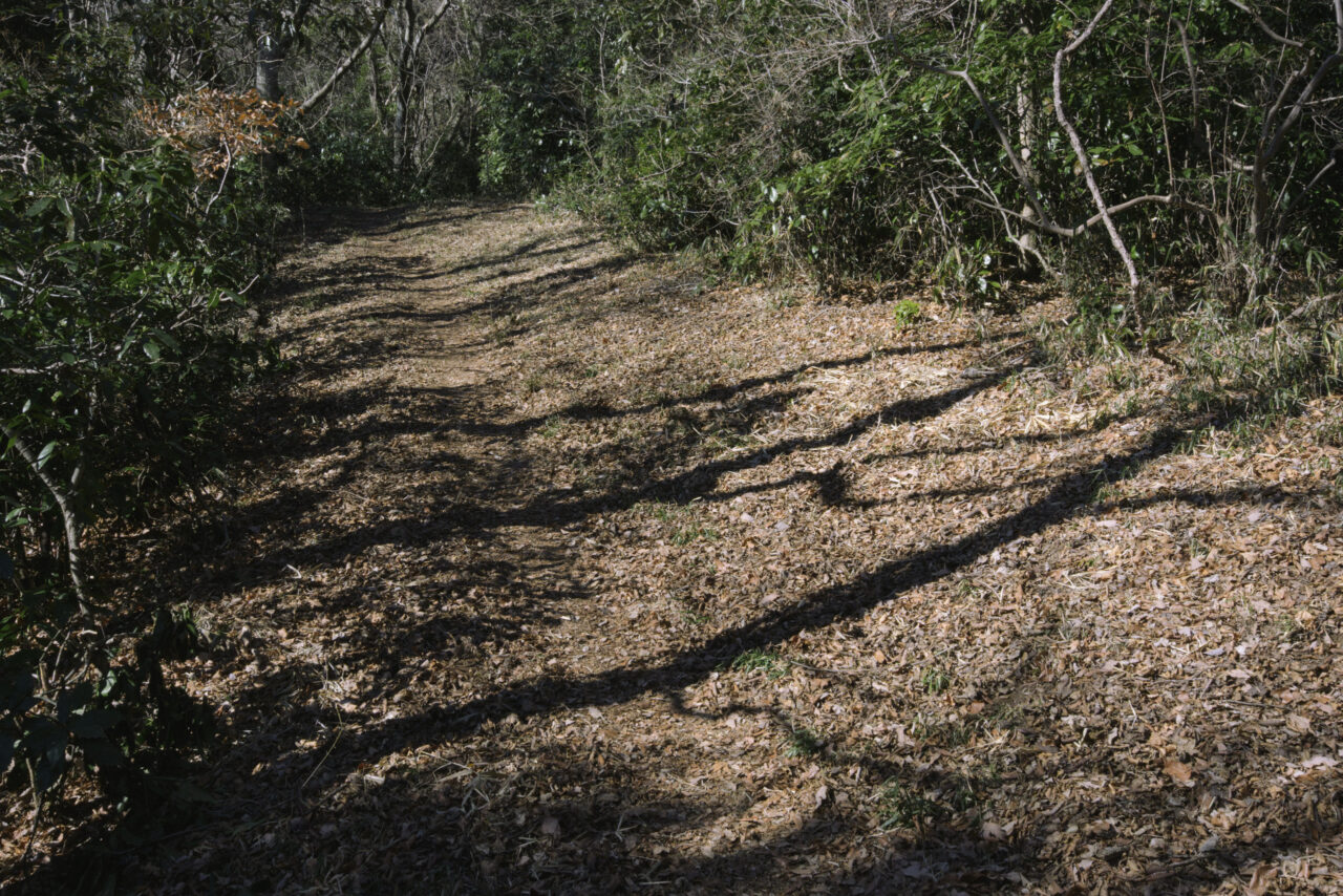 難台山からの下り道