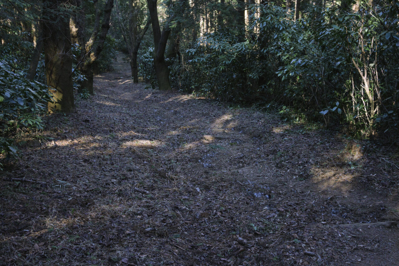日陰になる登山道