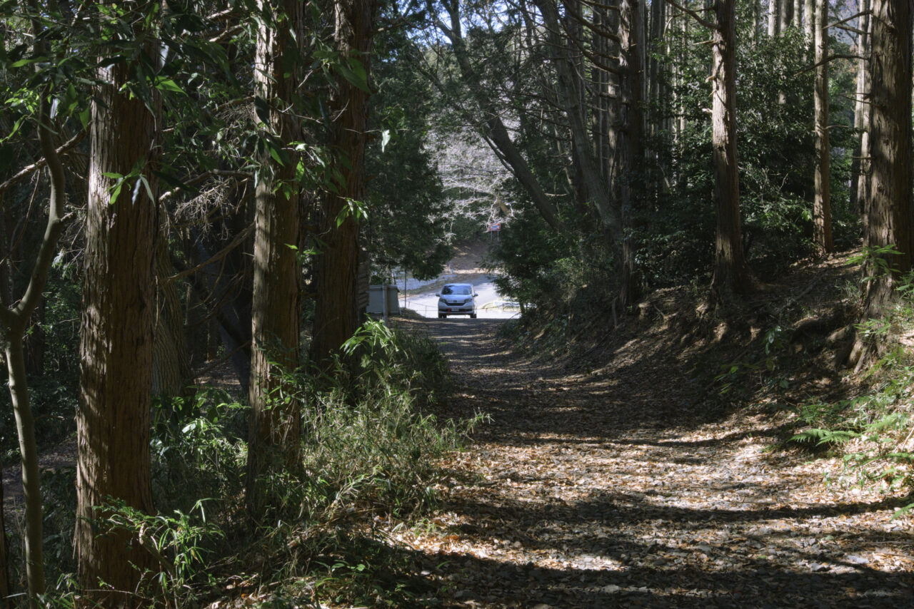 林道との合流地点