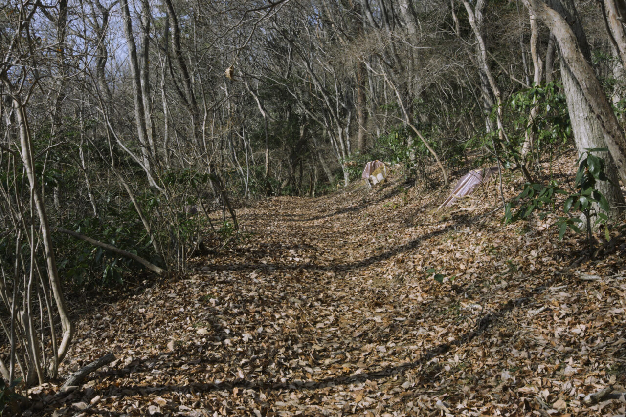 雑木林の登山道