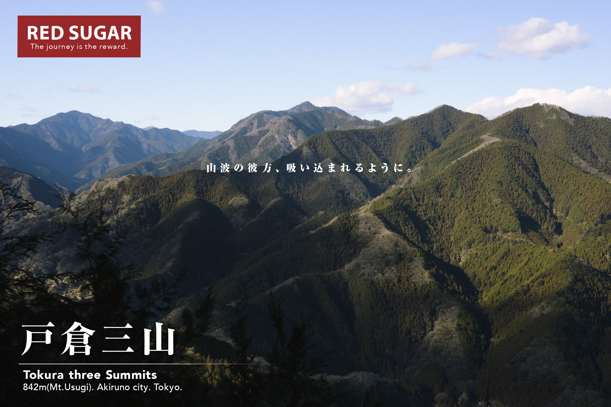 臼杵山から見る大岳山