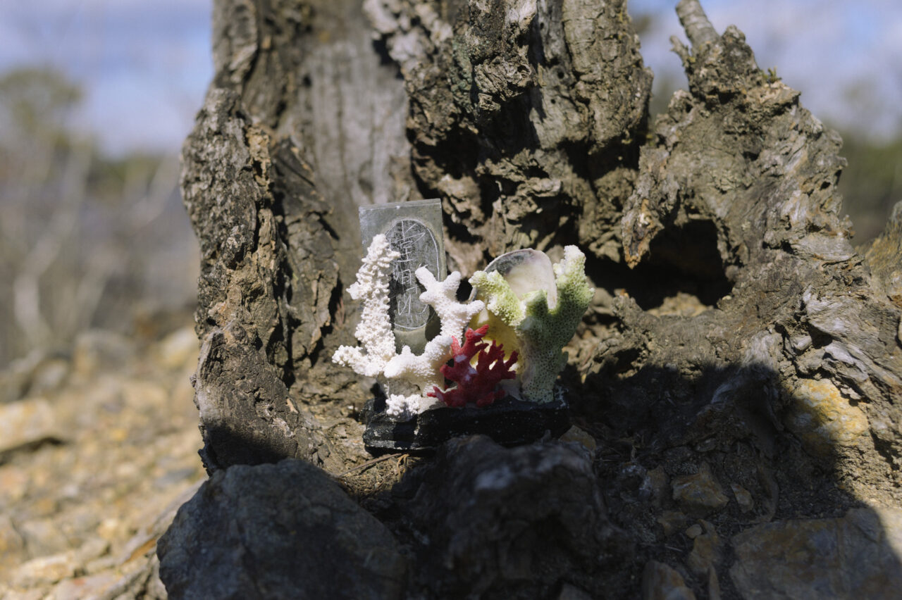 木々の足元に飾られた仏様