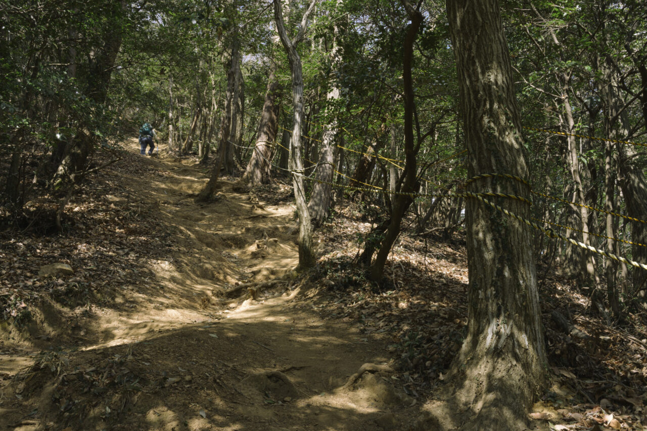 大小アルプスを行きかう人々