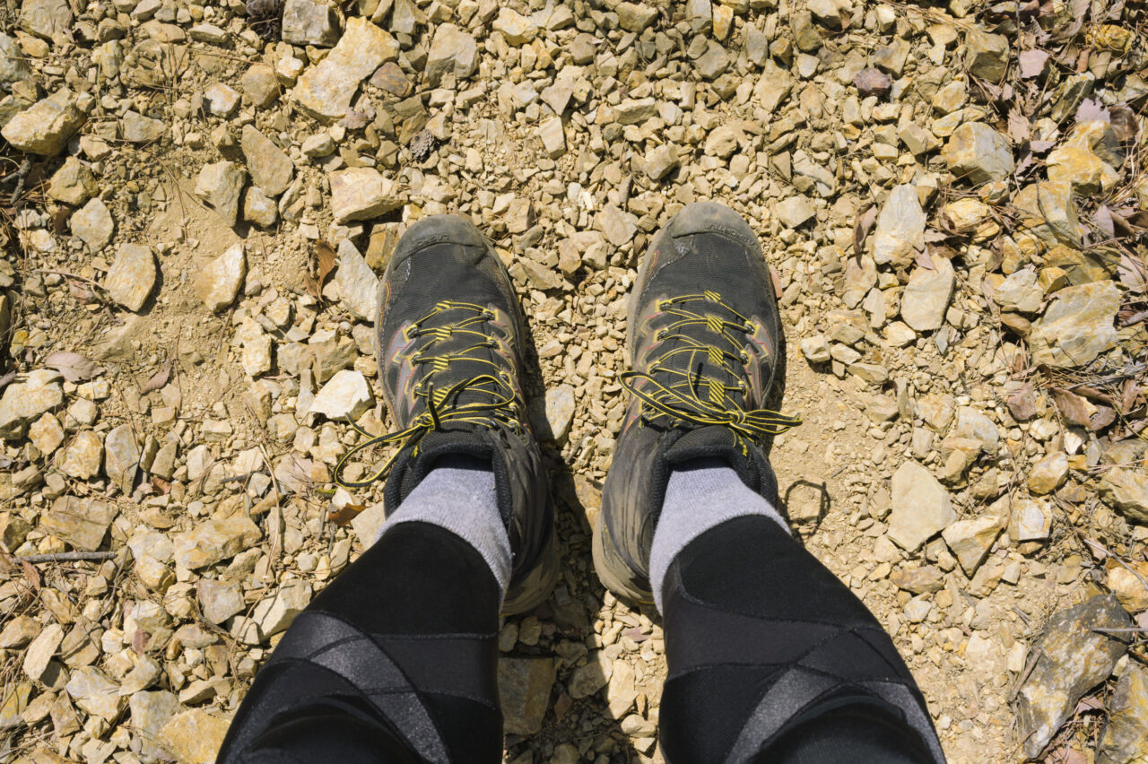 ウルトララプターII