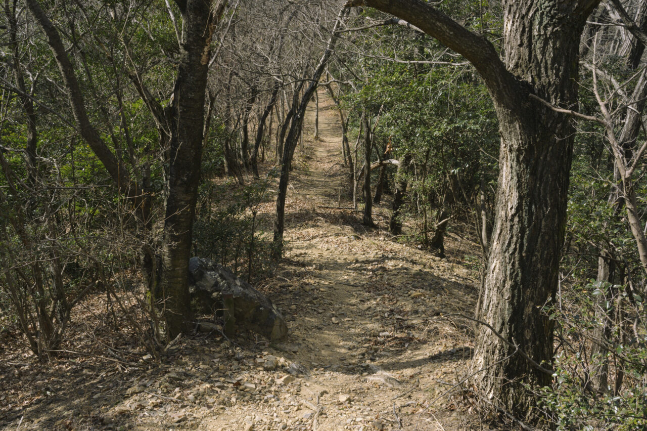 砂利が歩きにくい登山道