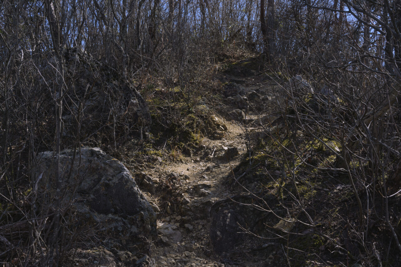 山川浅間山手前の登り