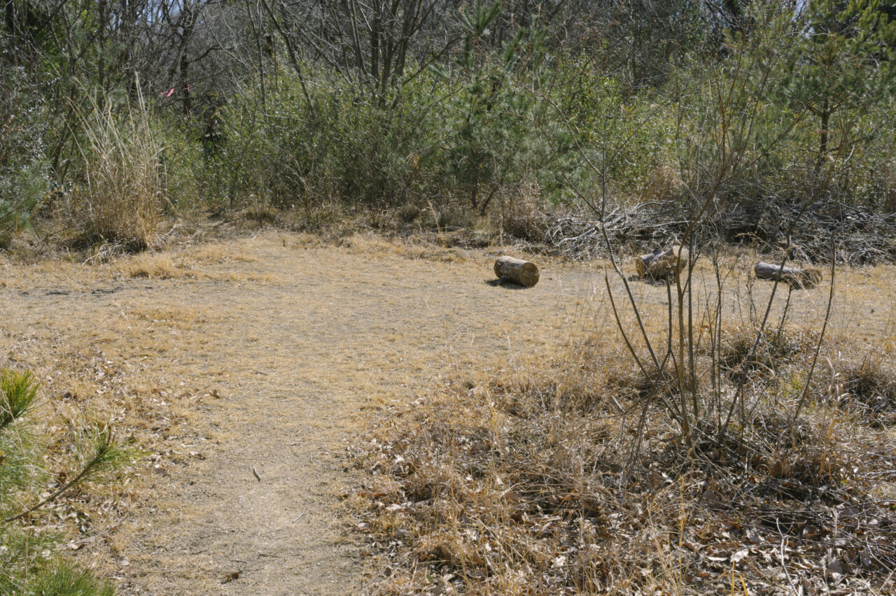 尾根の先端へ向かう広場