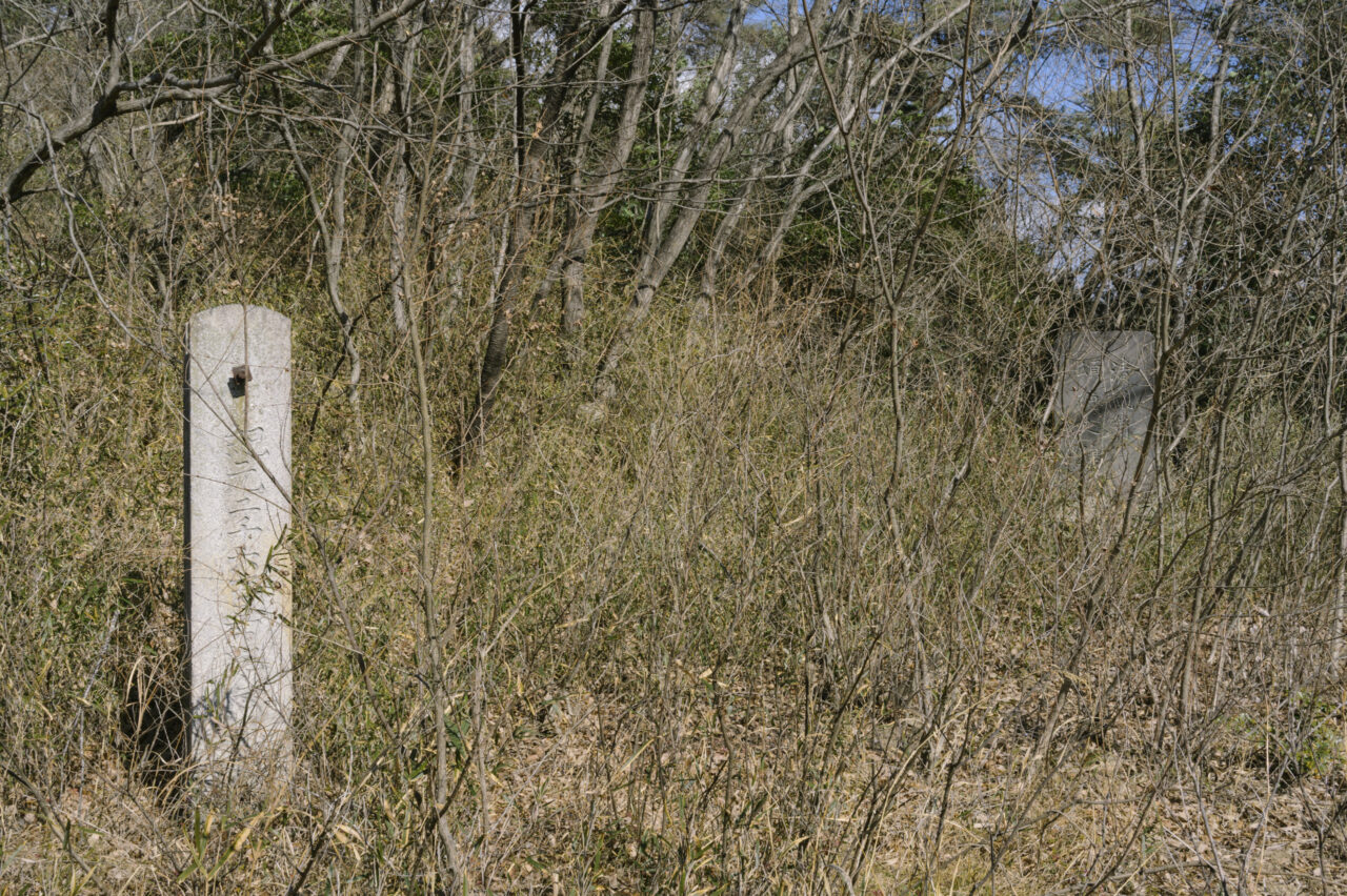 藪に埋もれた頌徳碑