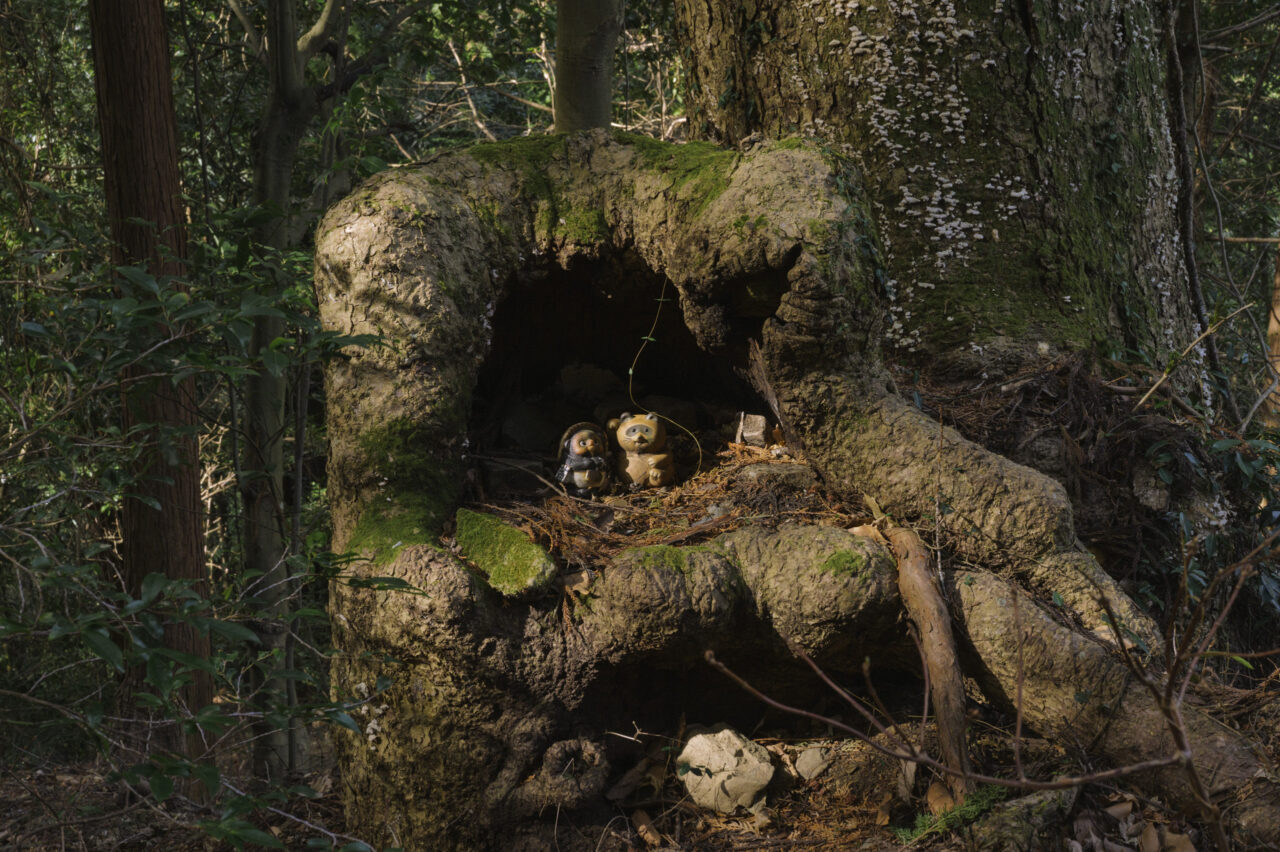 木のうろに置かれた信楽焼