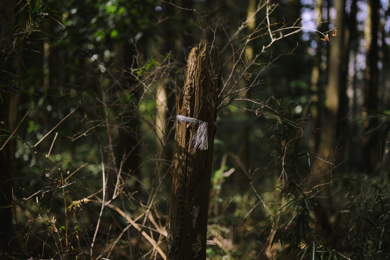 林業作業用の目印