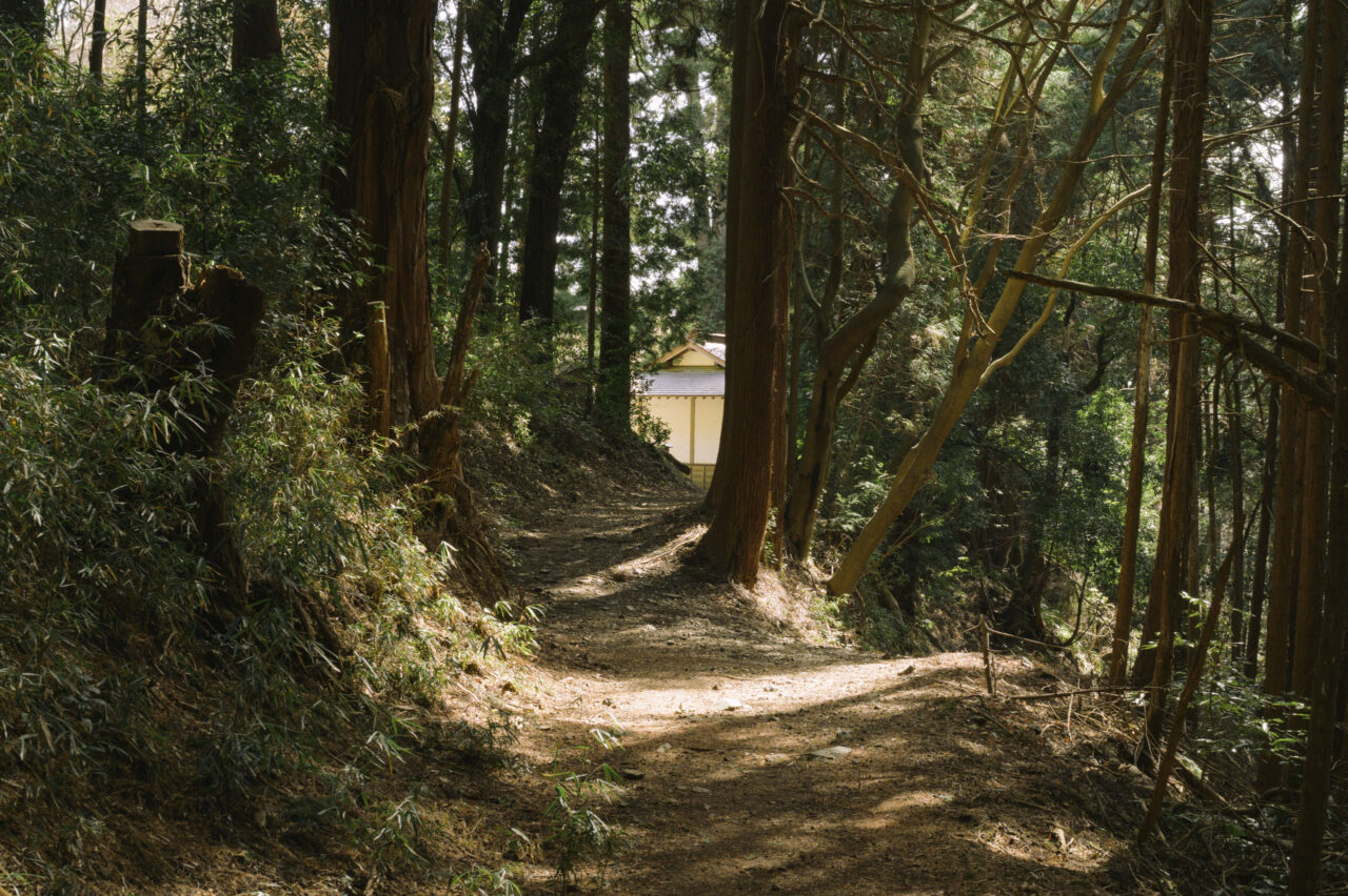 登山道に復帰する
