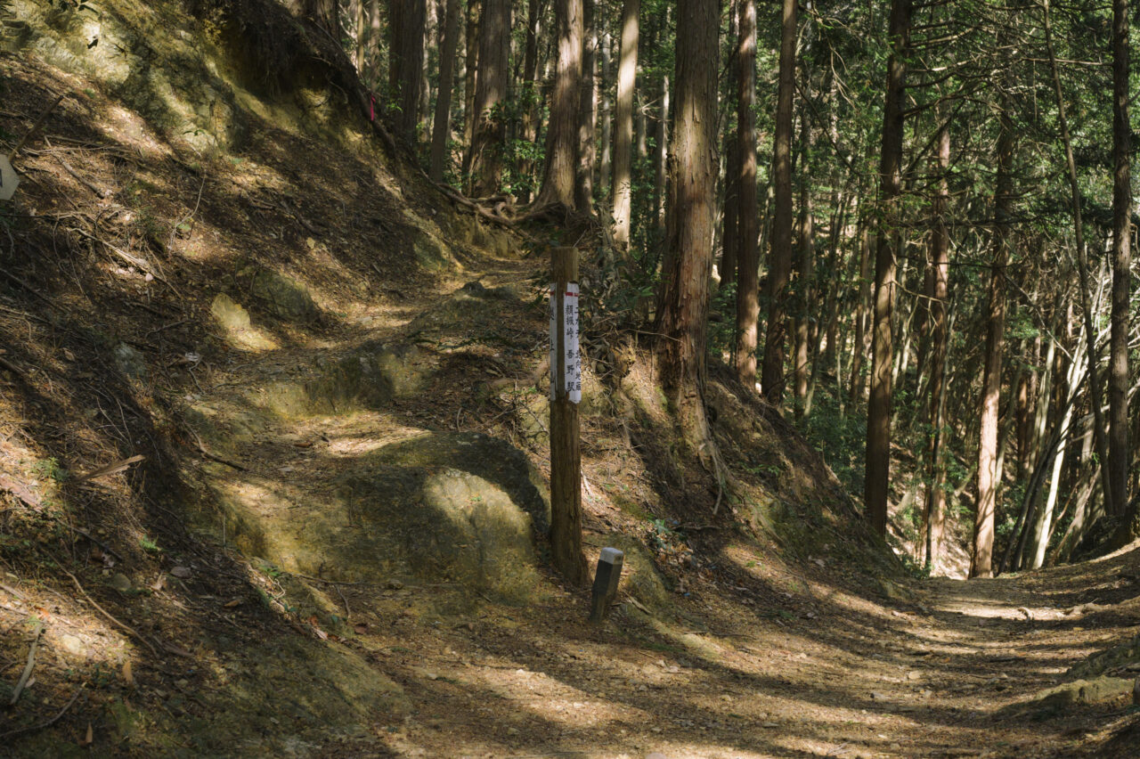 越上山への分岐路