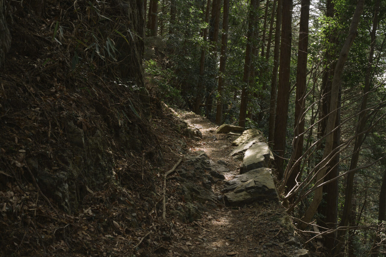 越上山から一本杉峠へ