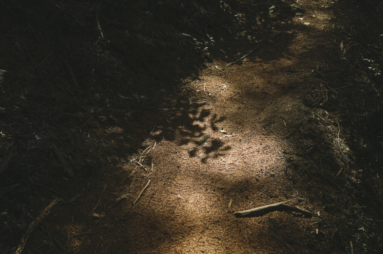 踏み慣らされた登山道