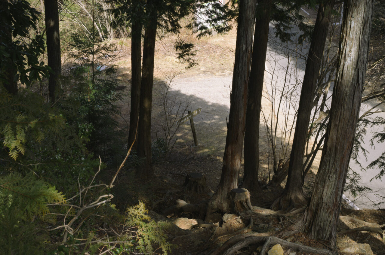 奥武蔵グリーンラインへの合流