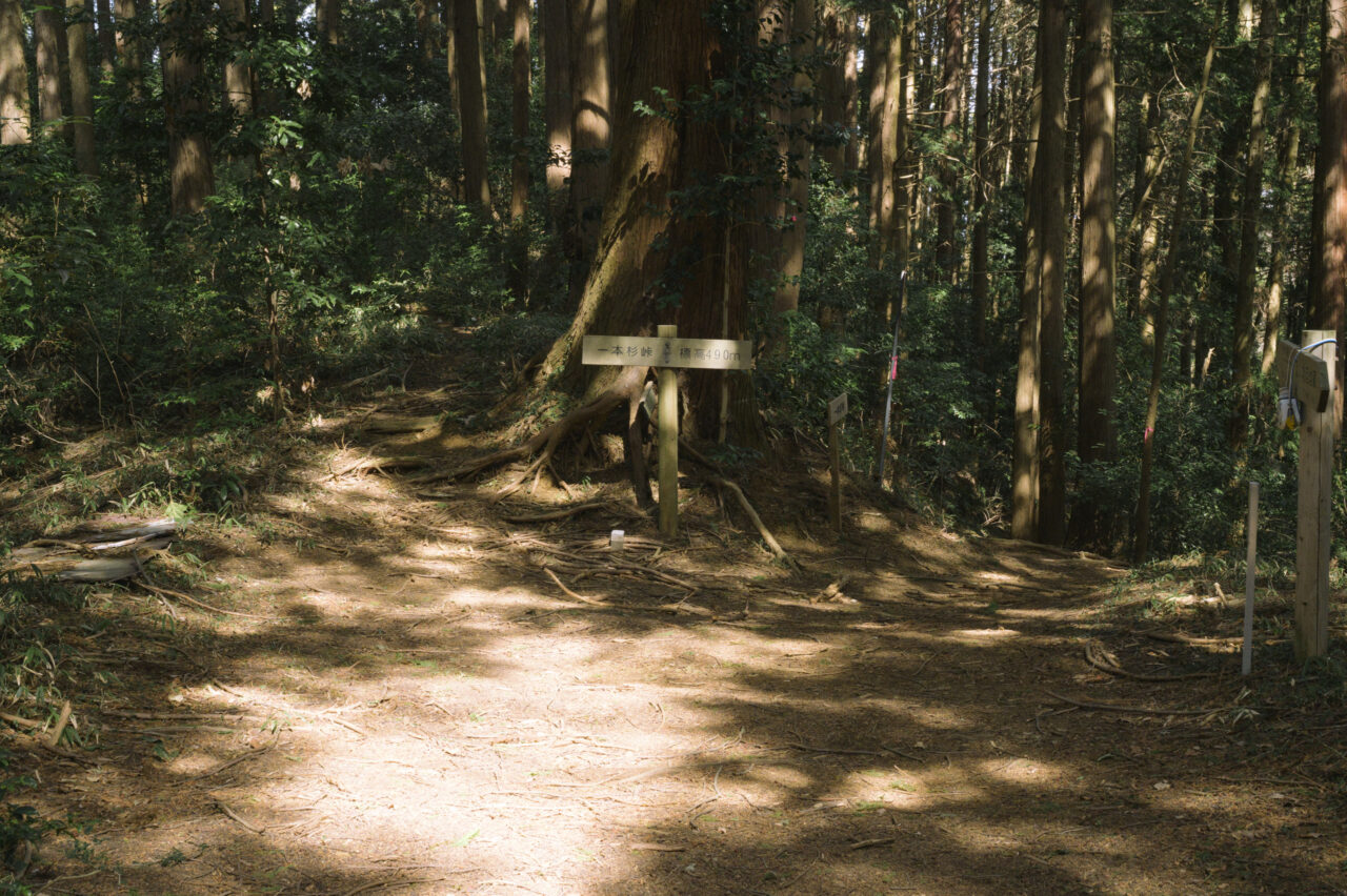 一本杉峠