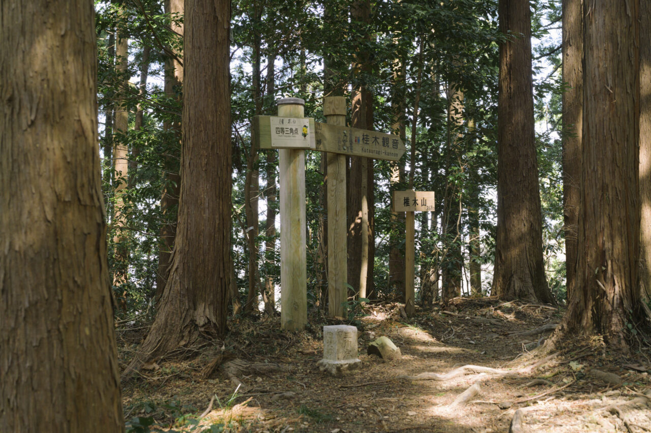 椎木山山頂