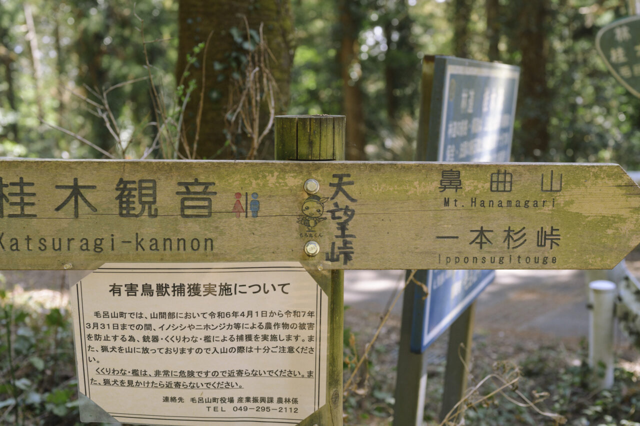 展望がない天望峠