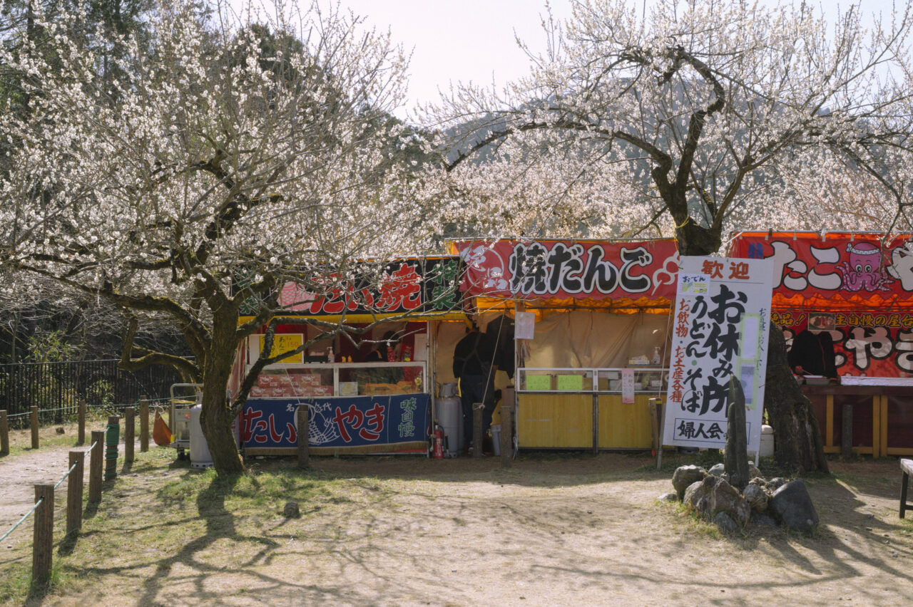 越生梅林内の出店