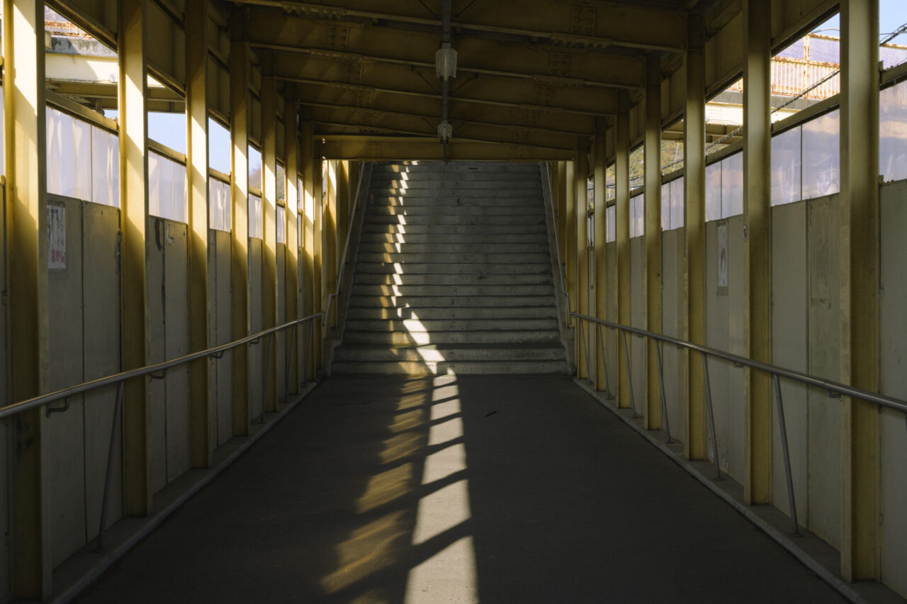 朝の陽ざしが差し込む階段