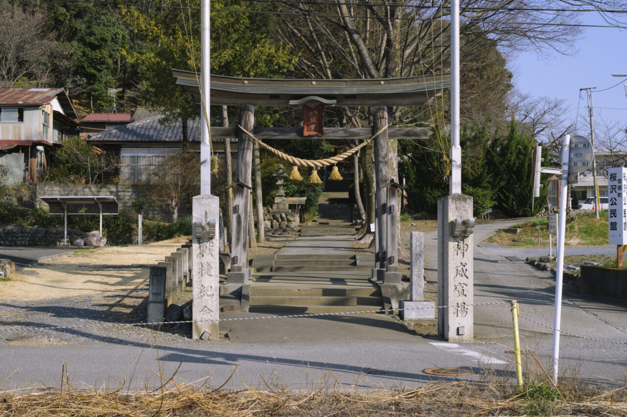 桜沢八幡神社